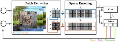 Autonomous Development of Active Binocular and Motion Vision Through Active Efficient Coding